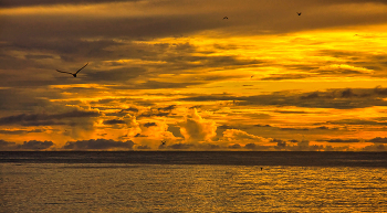 Sonnenuntergang auf der Insel Vogel / ***
