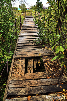 Brücke / ***