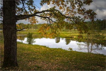 Herbst / ***