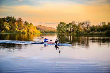 &nbsp; / ***