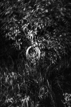 Leben rund um / ***