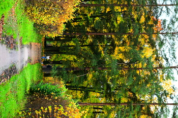 Autumn Gatchina / ***
