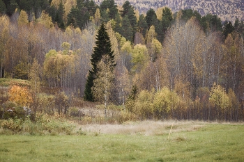 letzten Anstrich / ***