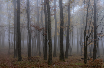 Oktober / ***
