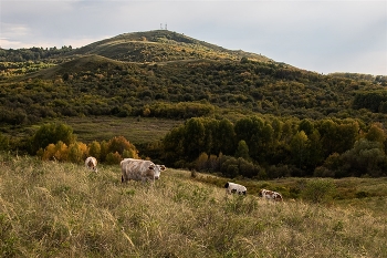 Autumn Pastoral / ***