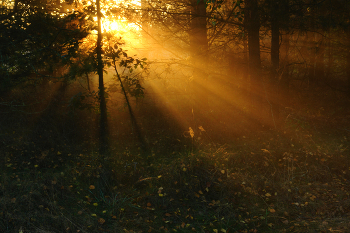 Sonnenaufgang über dem Fluss / ***