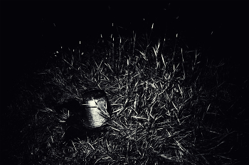Leben rund um / ***
