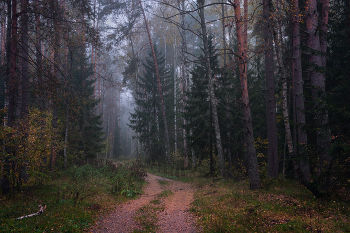 Nebel zerstreut / ***