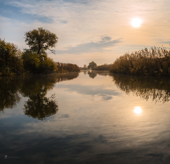 Herbst in der Reserve / ***