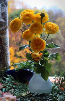 auf Herbst Hintergrund / ***