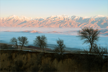 Misty Valley / ***
