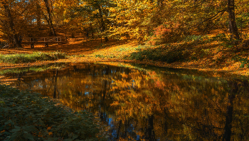 goldene Zeit / ***