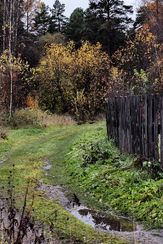 Autumn etude / ***