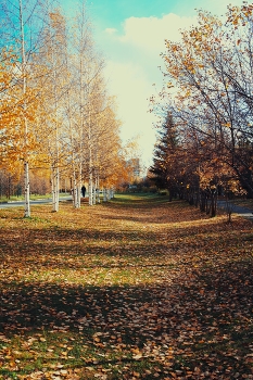 Goldener Herbst / ***
