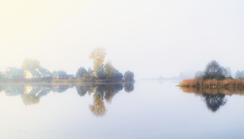 Nebliger Morgen / ***