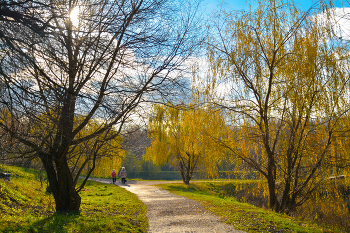Herbst-Skizzen / ***