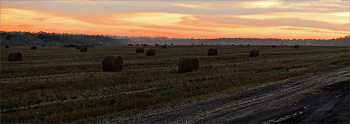 Herbst-Feld / ***