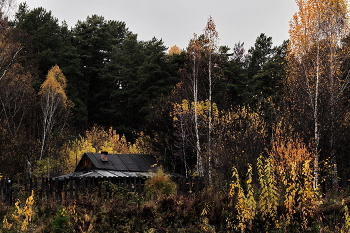 Nach dem Regen / ***
