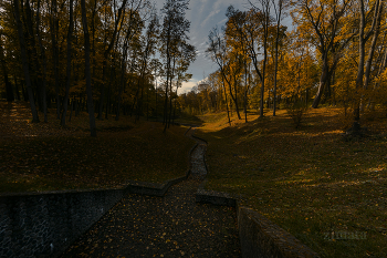 Herbstbild / ***