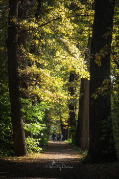 Herbst Wanderung / ***