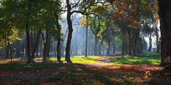 im Park / ***