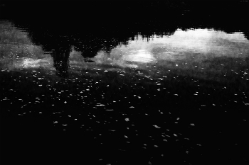 Leben rund um / ***