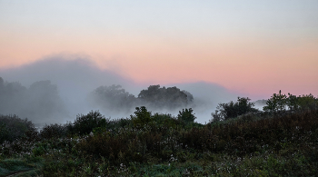 Morgennebel. / ***