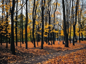 Im Herbst Park / ***