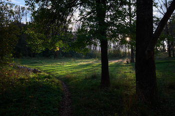 Autumn Sun / ***