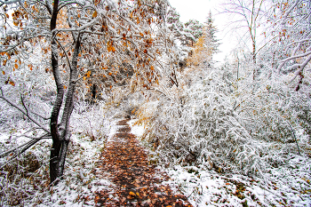 Herbst und Winter / ***