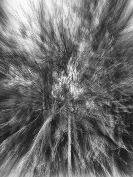 Leben rund um / ***