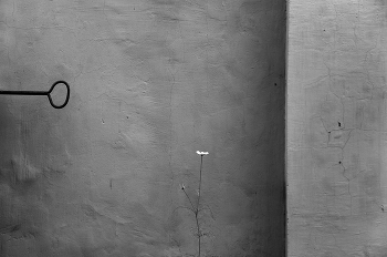 die Wand. / ***