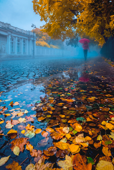 Herbst / ***