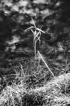 Leben rund um / ***