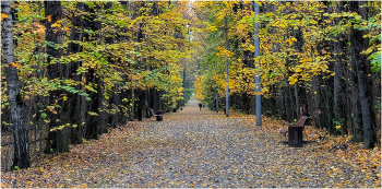 Herbststimmung II / ***