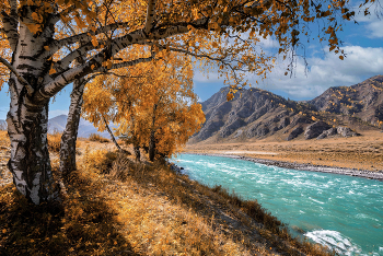 Altai-Gebirge / ***