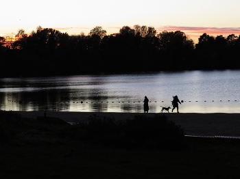 Abend auf dem See / ***