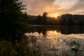 Sommermorgen. / ***