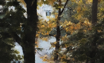 Maples / ***