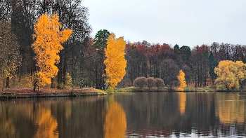 Herbst in der Stadt / ***