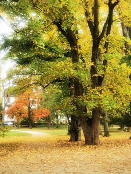 Autumn etude / ***