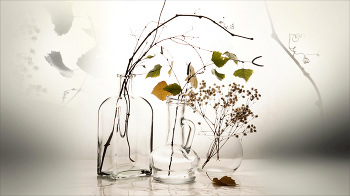 Herbst / ***