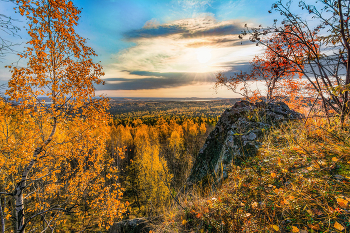 Herbstwald / ***