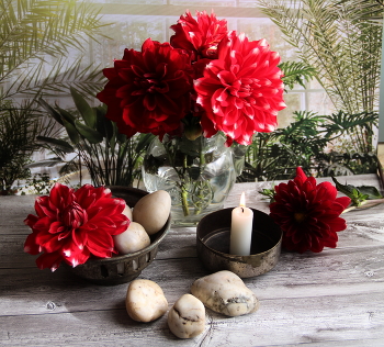 Still Life / ***