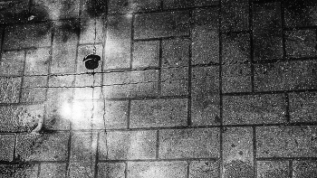 Leben rund um / ***
