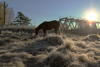 Die ersten Frost / ***