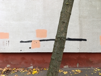 &nbsp; / ***