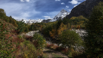 Herbst / ***