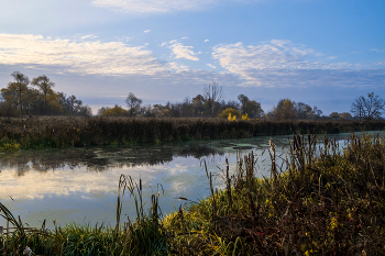 Herbst / ***