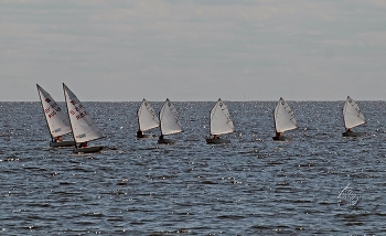 Sail / ***